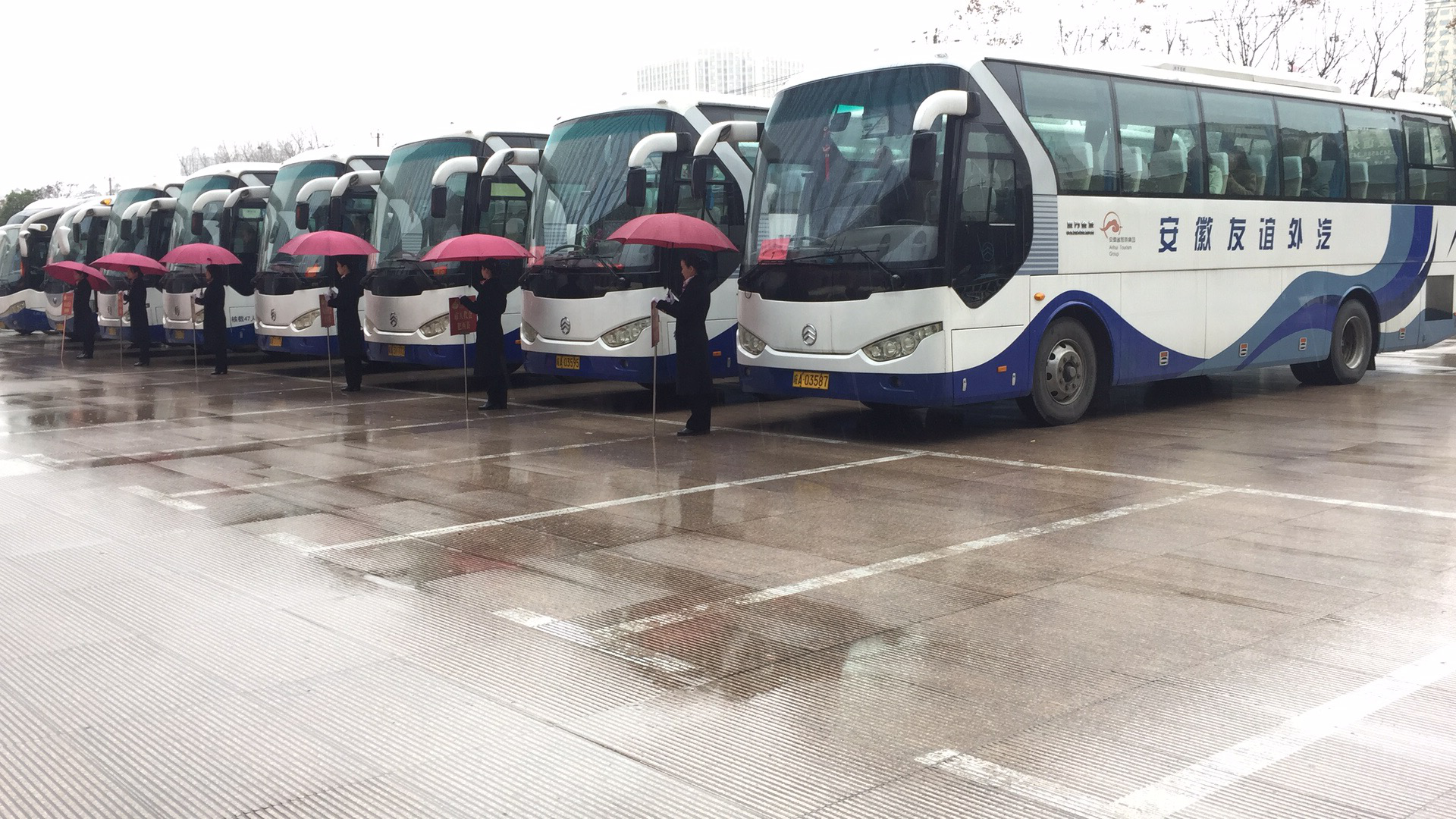 ����lewin��(�й�)ȫվ