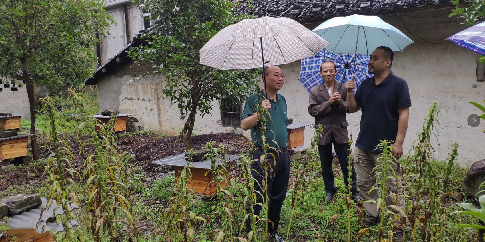 ����lewin��(�й�)ȫվ