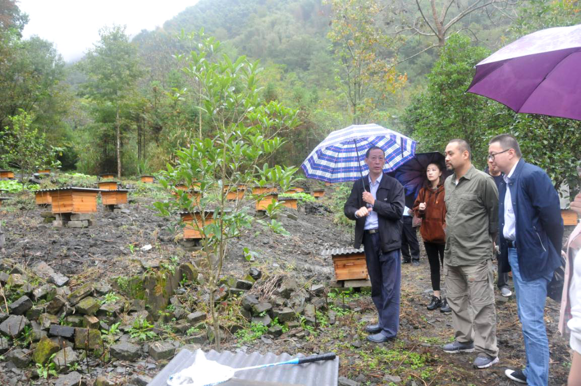 ����lewin��(�й�)ȫվ