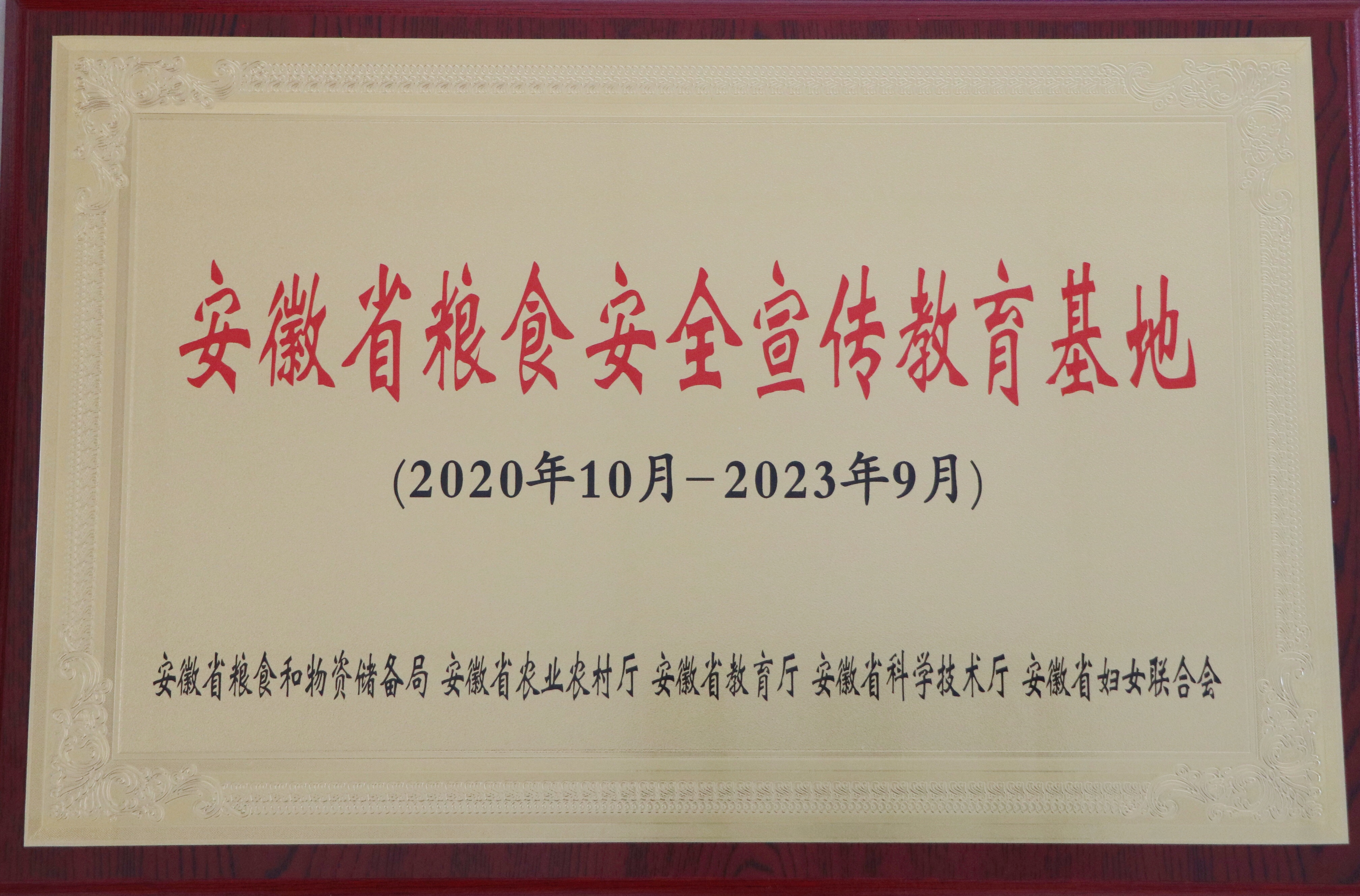 ����lewin��(�й�)ȫվ