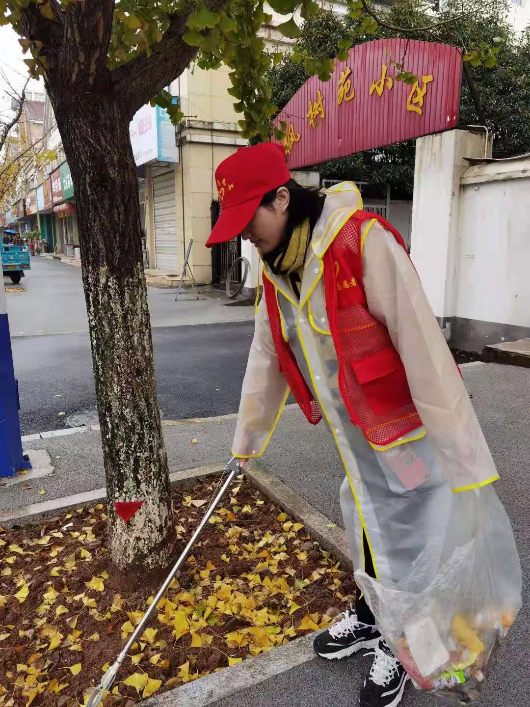 lewin(й)ȫվ