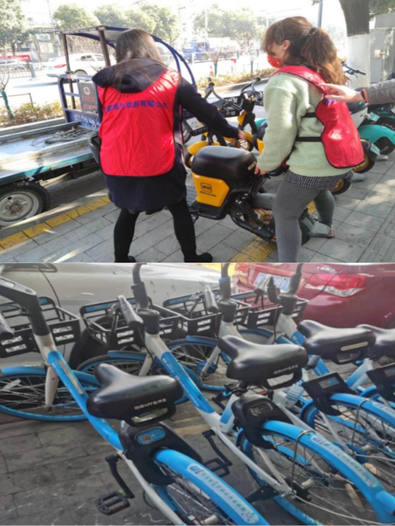 ����lewin��(�й�)ȫվ