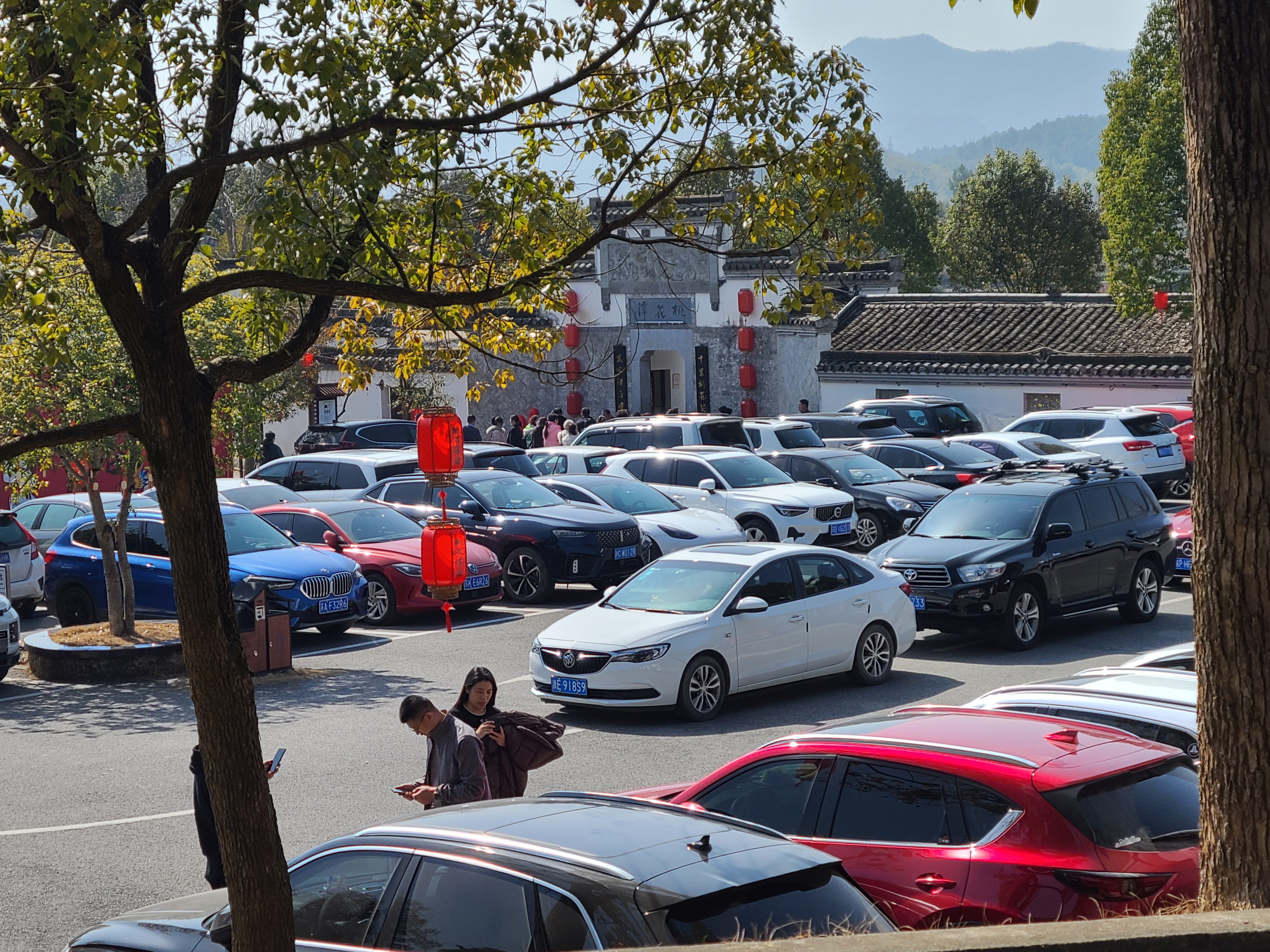 ����lewin��(�й�)ȫվ