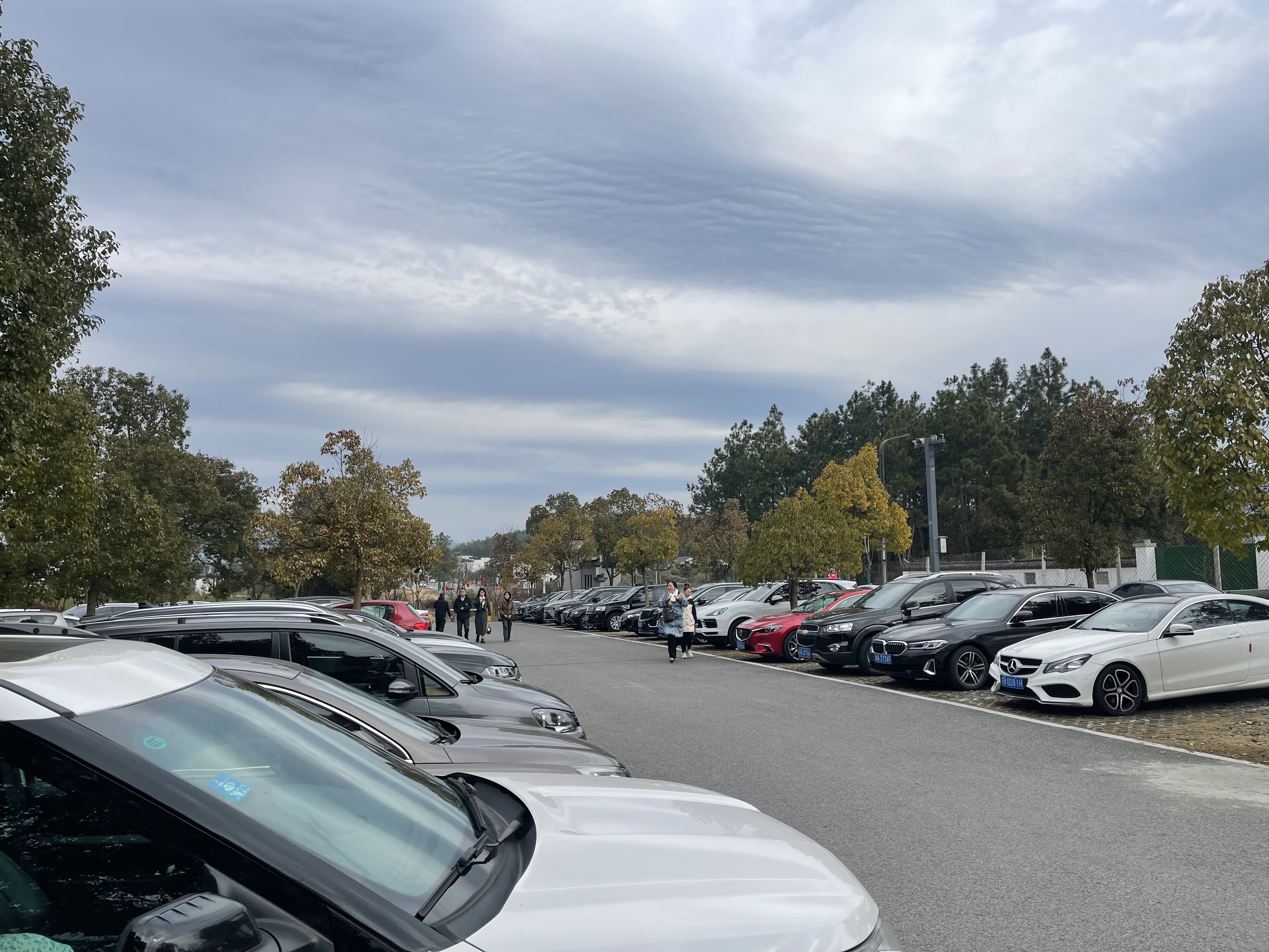 ����lewin��(�й�)ȫվ