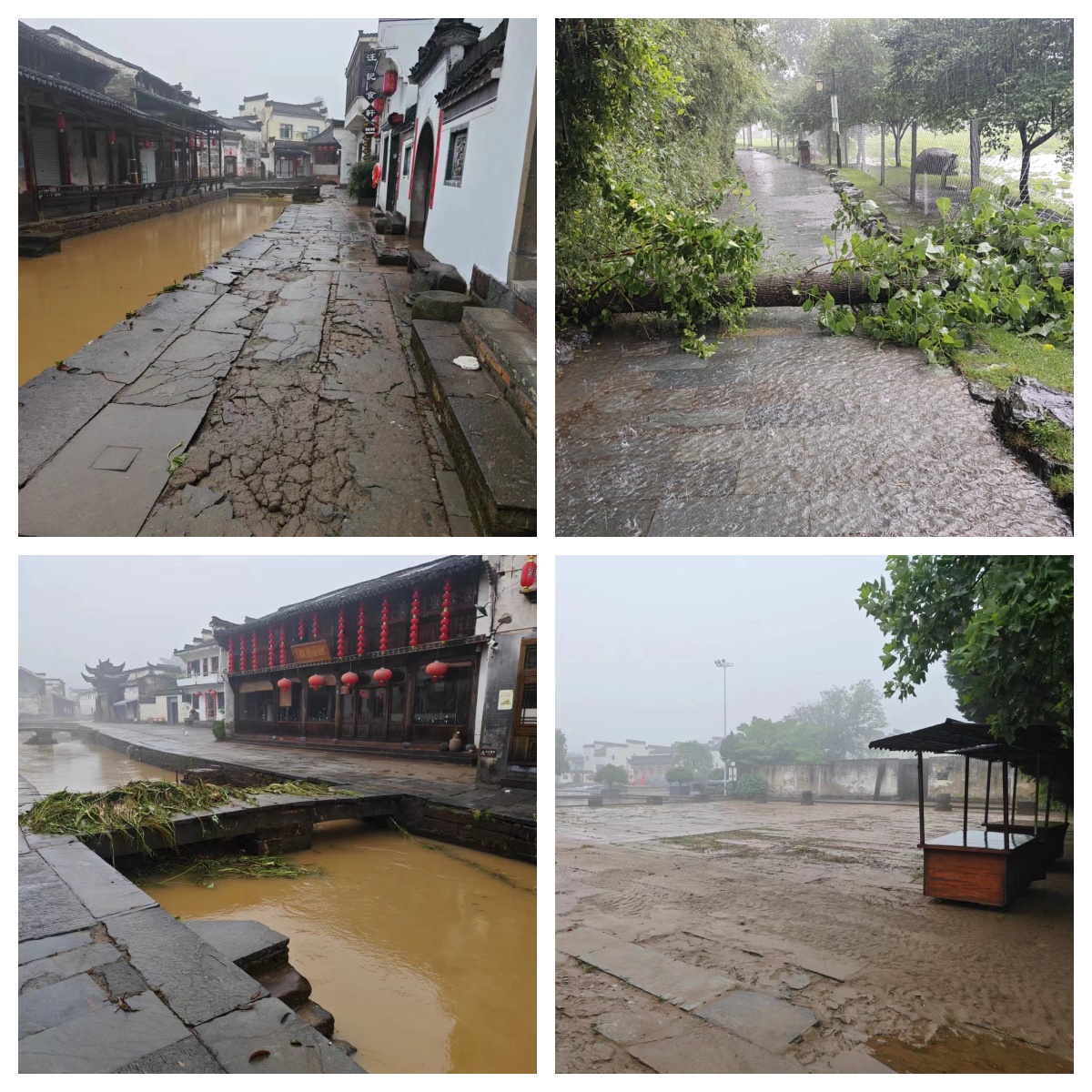 ����lewin��(�й�)ȫվ