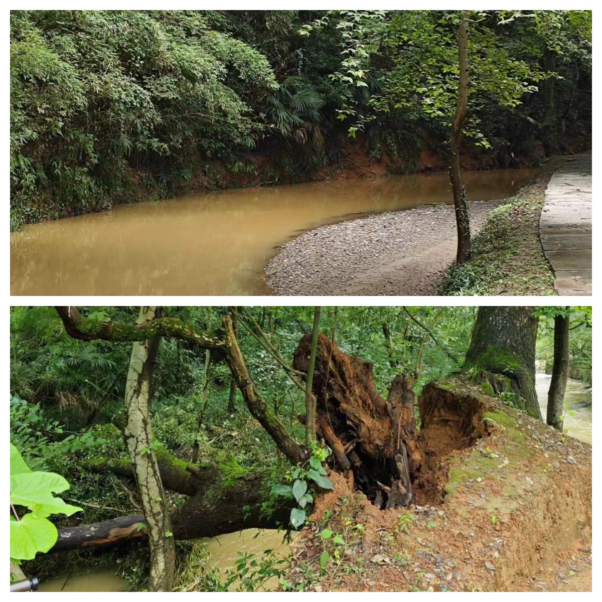 ����lewin��(�й�)ȫվ