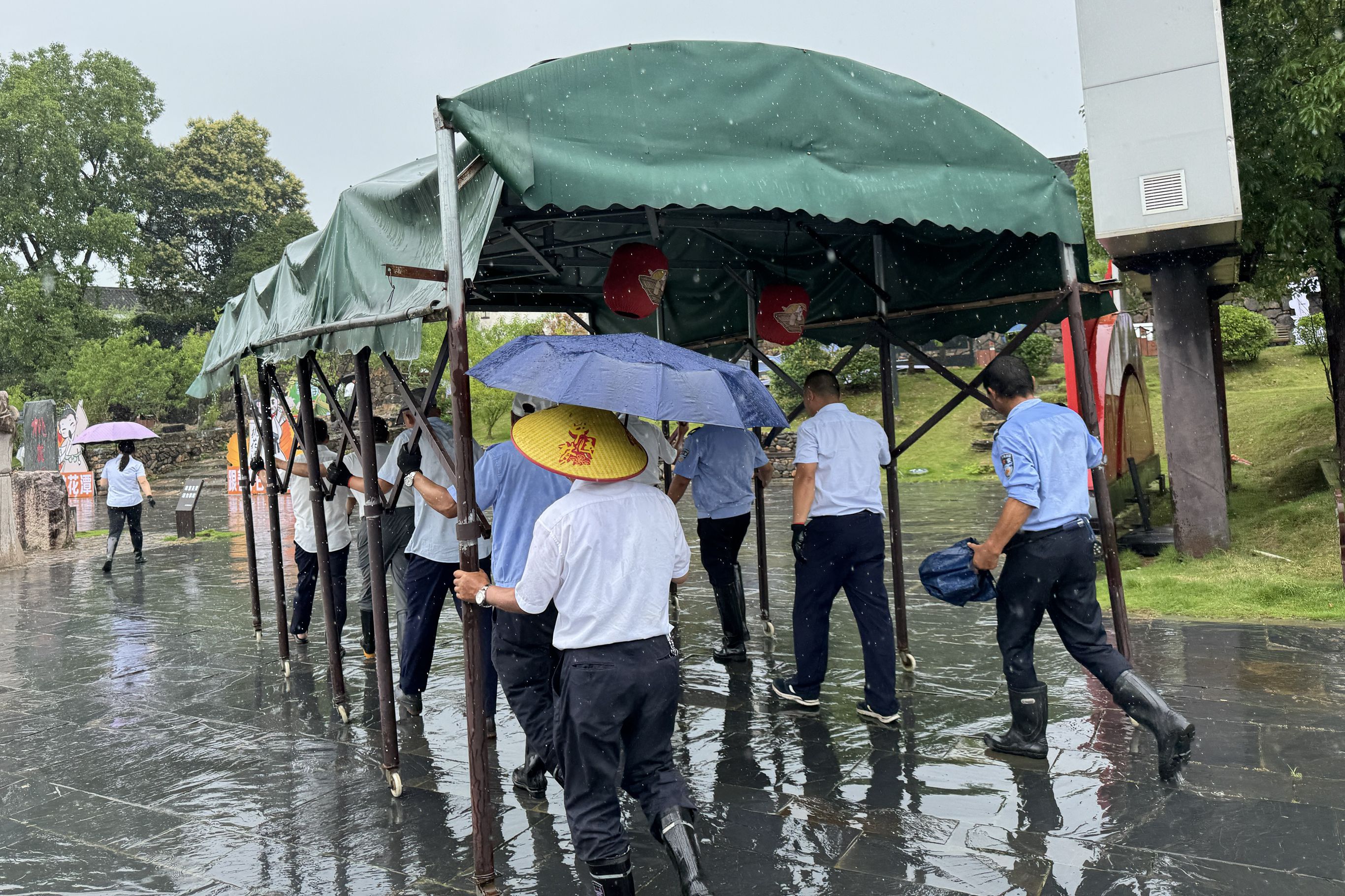 ����lewin��(�й�)ȫվ