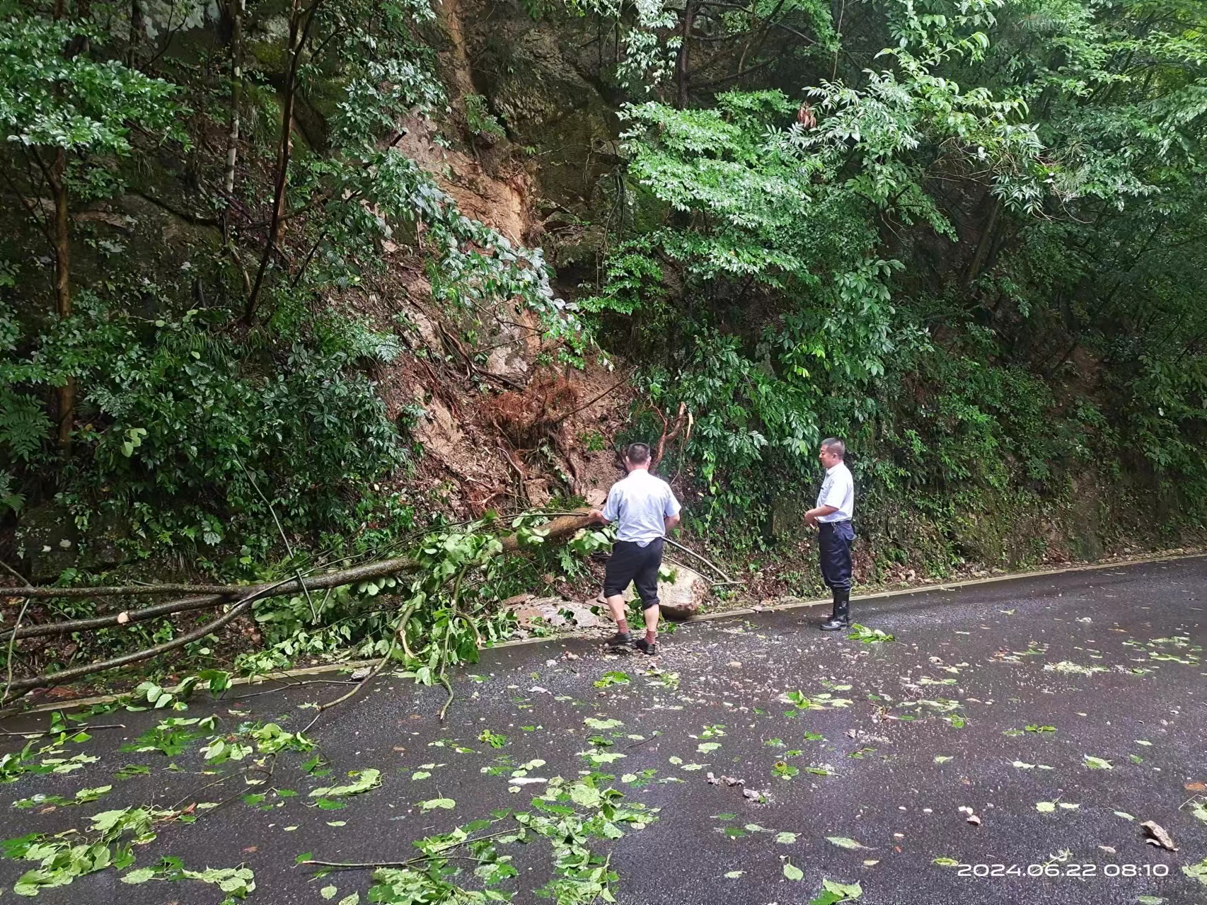 ����lewin��(�й�)ȫվ