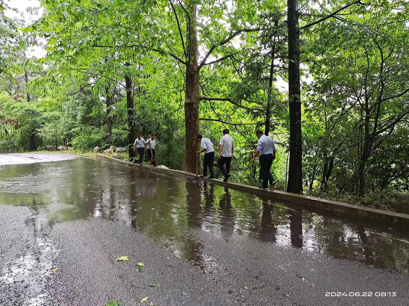 ����lewin��(�й�)ȫվ