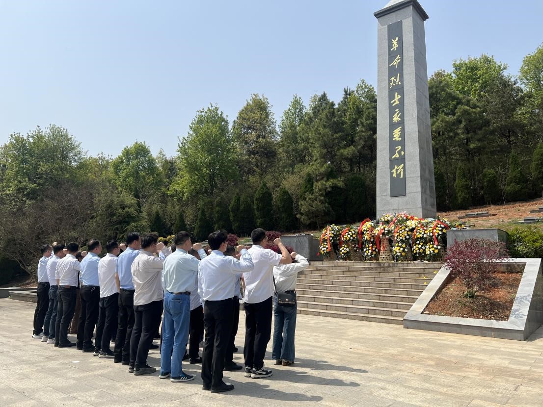 ����lewin��(�й�)ȫվ